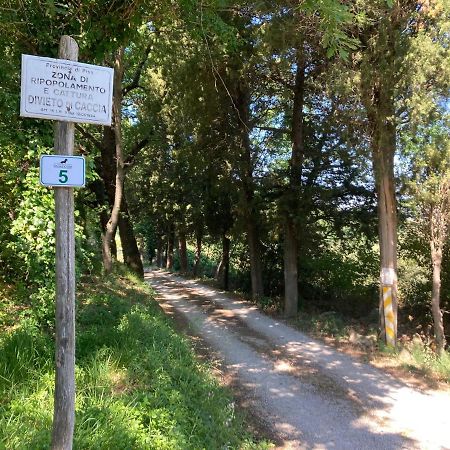 Le Giuncaie - Vigna Con Alloggio Montescudaio Exterior foto