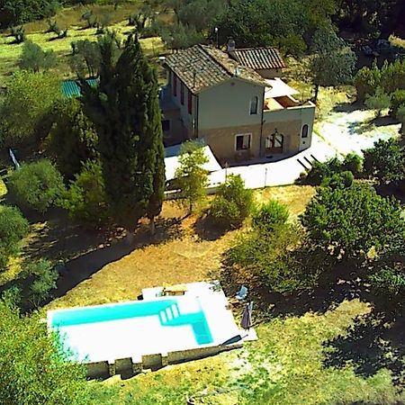 Le Giuncaie - Vigna Con Alloggio Montescudaio Exterior foto