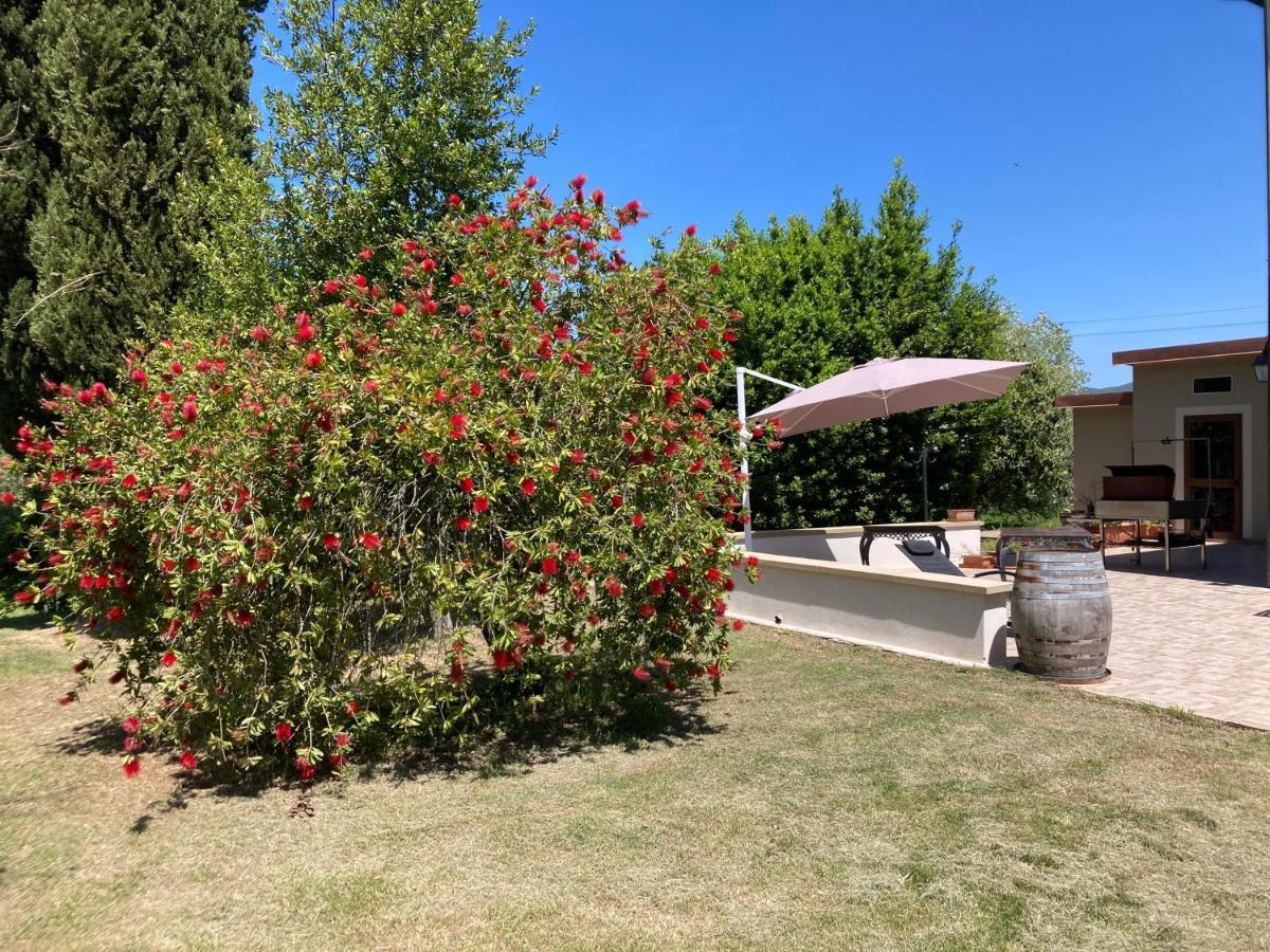 Le Giuncaie - Vigna Con Alloggio Montescudaio Exterior foto